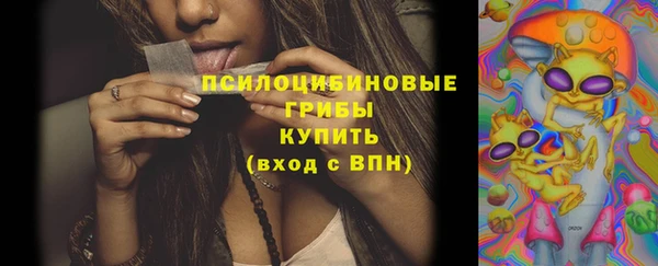 прущая мука Бронницы