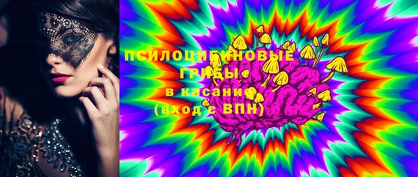 СК Бородино