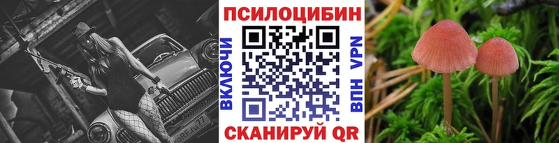 Псилоцибиновые грибы Psilocybe  Гусь-Хрустальный 