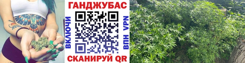 даркнет Telegram  кракен рабочий сайт  Гусь-Хрустальный  МАРИХУАНА гибрид 